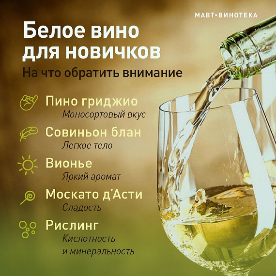 Белое вино для новичков